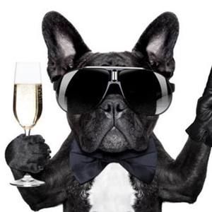 Meet your Posher, Sam